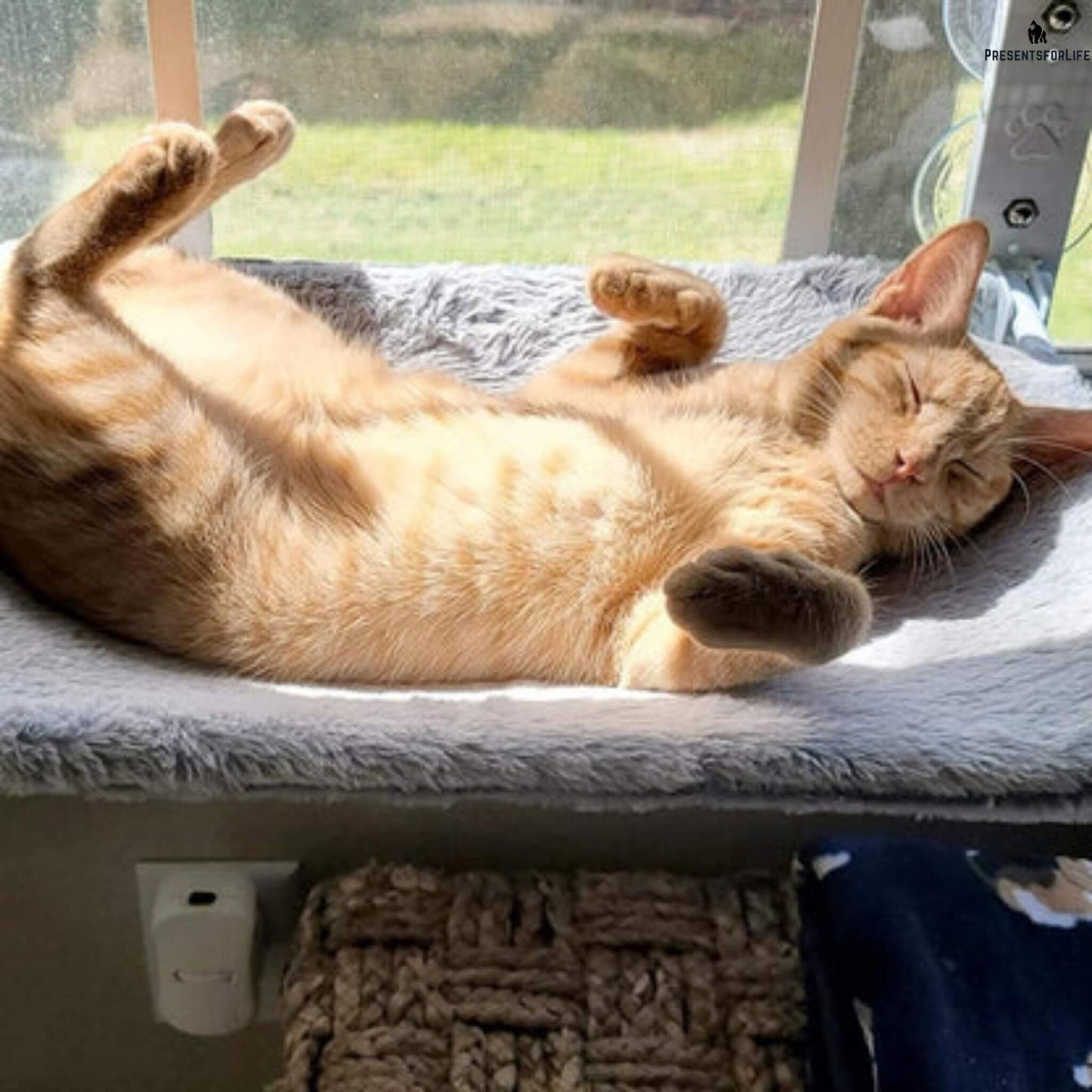 ClimbNRest™ - Foldable Cat Hammock with Strong Suction