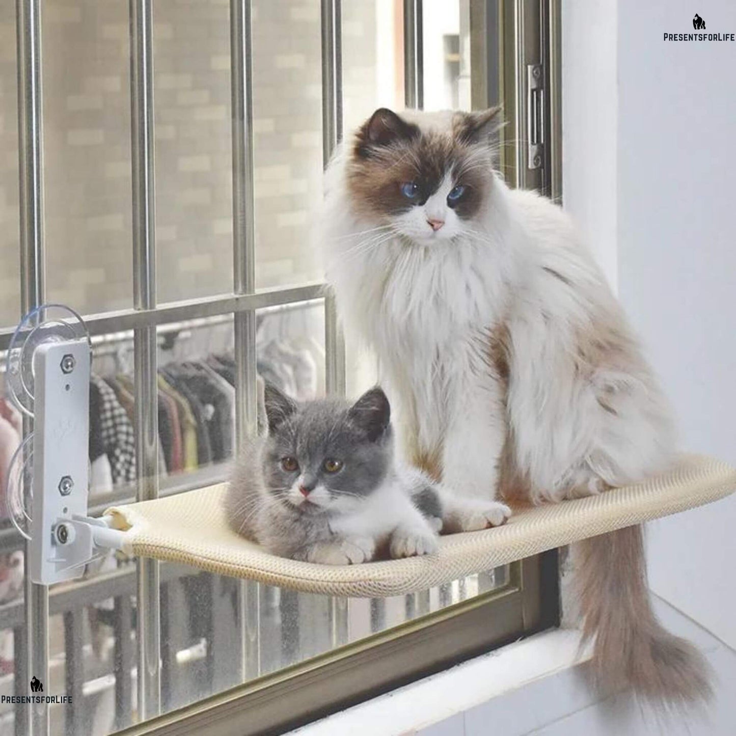 ClimbNRest™ - Foldable Cat Hammock with Strong Suction