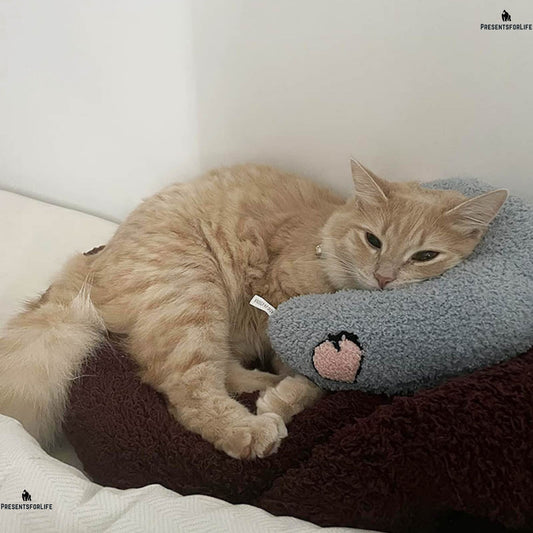 FelineDream™ - Orthopedic Cat Pillow