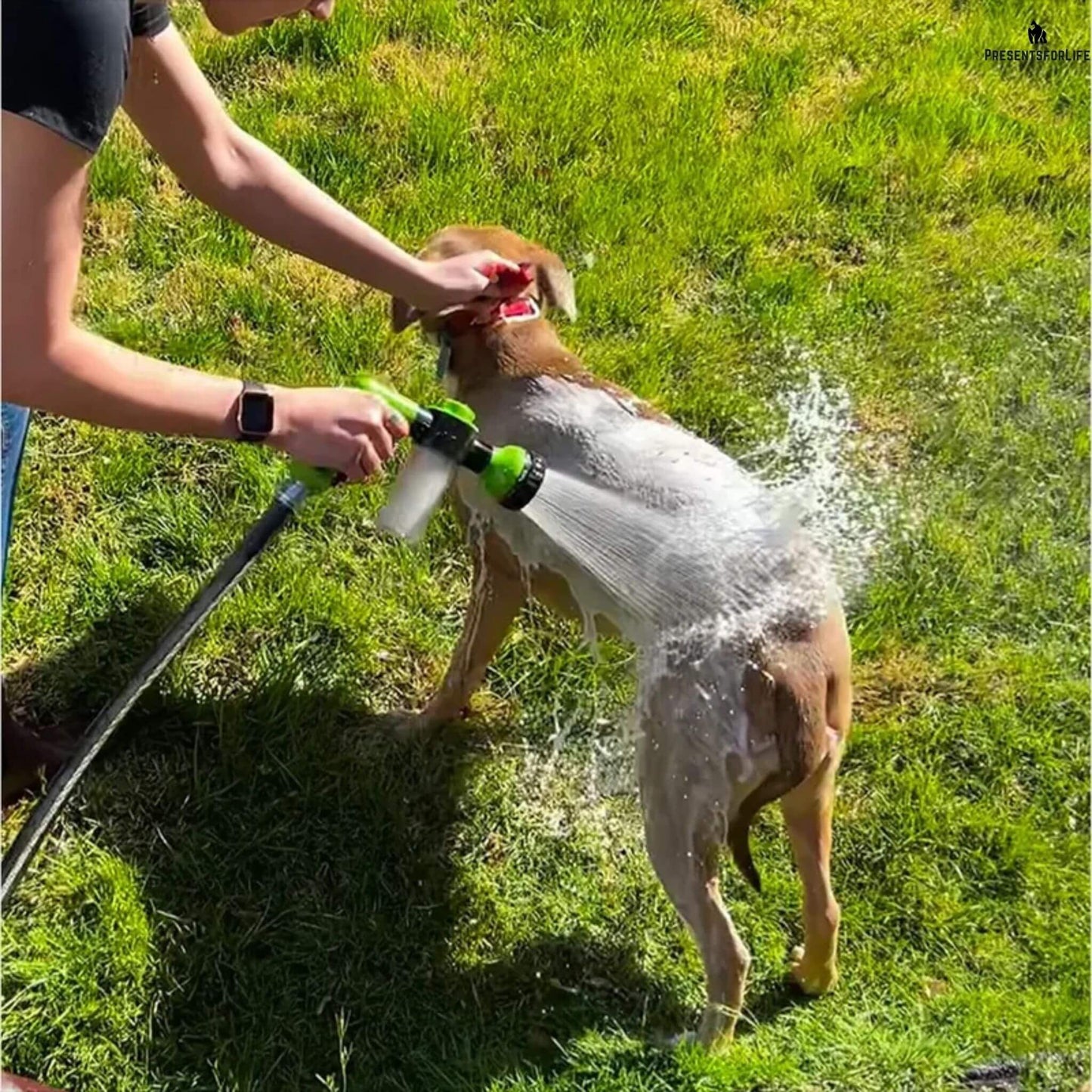 PUPPYJET™ - Premium Pet Washing Foam Sprayer